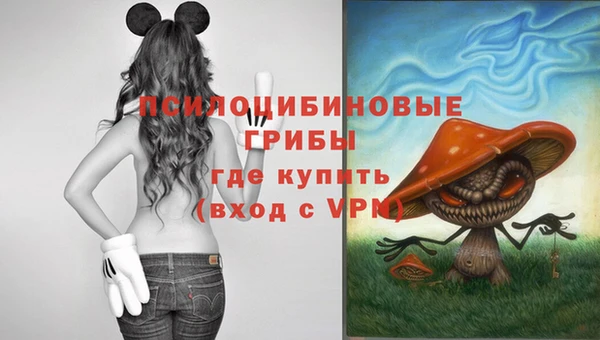 дживик Балабаново