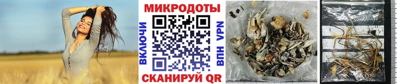 Псилоцибиновые грибы Cubensis  закладки  Корсаков 