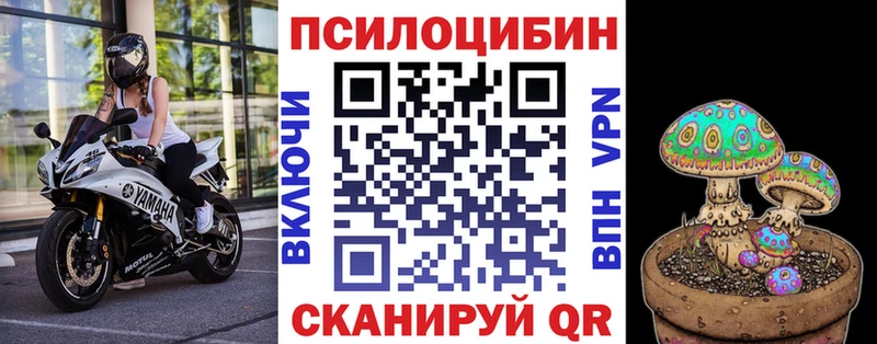 Псилоцибиновые грибы Cubensis Корсаков